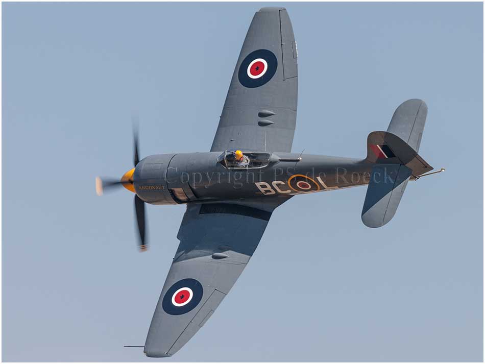 Sea Fury Argonaut FBII